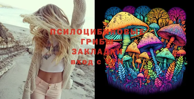 сколько стоит  Зверево  Галлюциногенные грибы MAGIC MUSHROOMS 