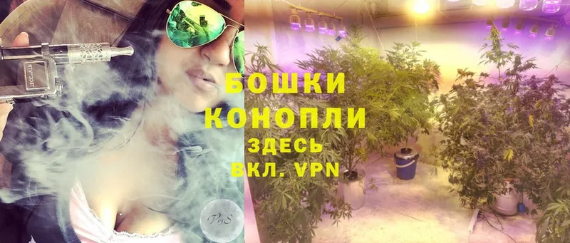 купить закладку  Зверево  Канабис Ganja 